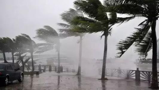 8月臺風雨即將來，除濕機還得用起來