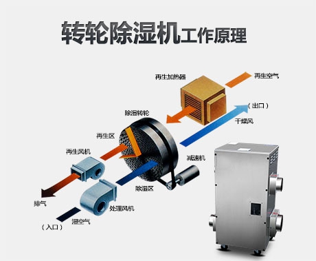 烤瓷制作中濕度的影響靠除濕機(jī)來(lái)控制