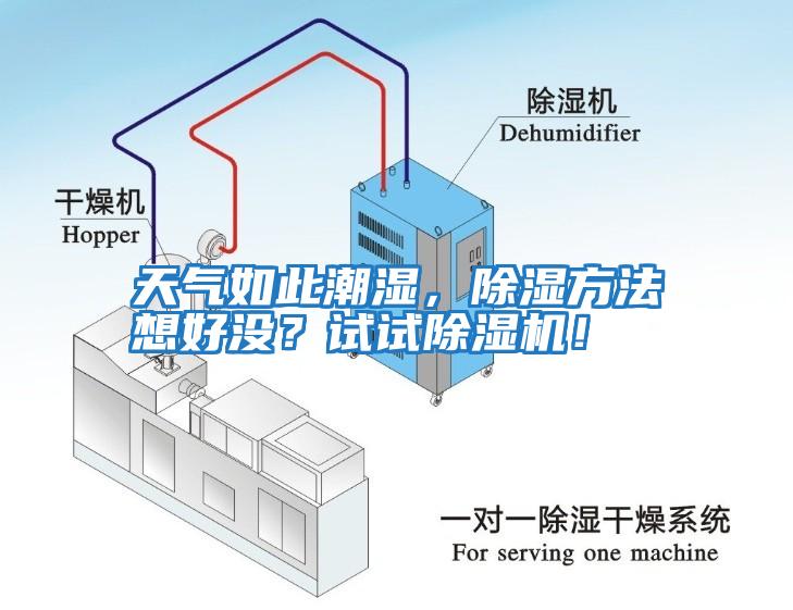 天氣如此潮濕，除濕方法想好沒(méi)？試試除濕機(jī)！