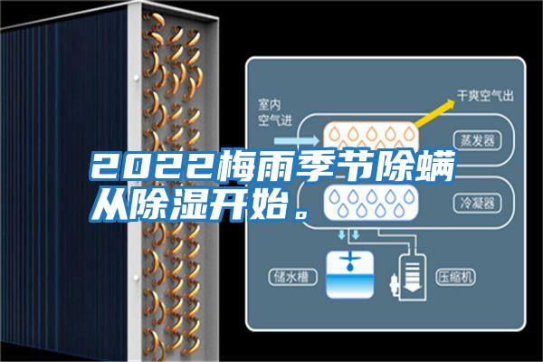 2022梅雨季節(jié)除螨從除濕開始。