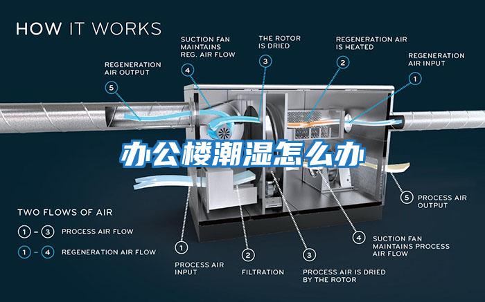 辦公樓潮濕怎么辦