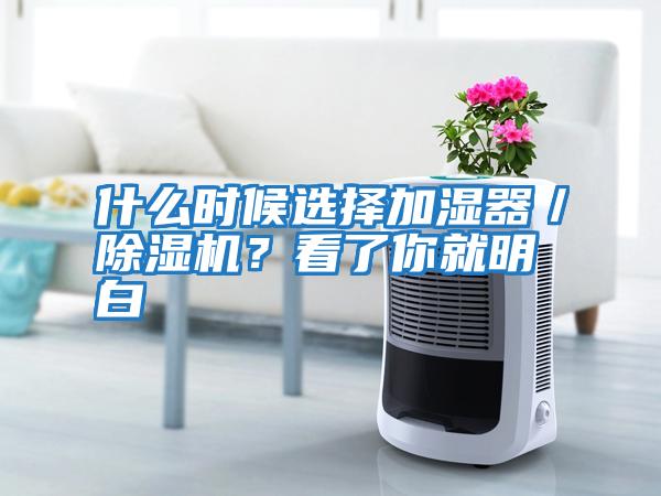 什么時候選擇加濕器／除濕機？看了你就明白