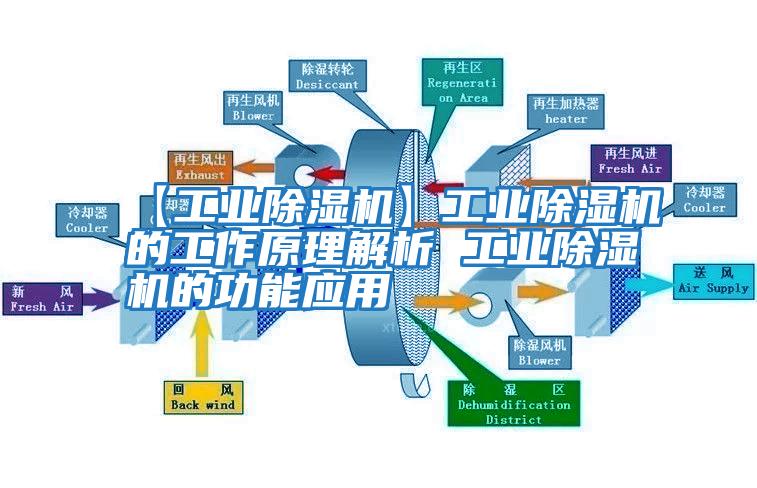 【工業(yè)除濕機】工業(yè)除濕機的工作原理解析 工業(yè)除濕機的功能應(yīng)用