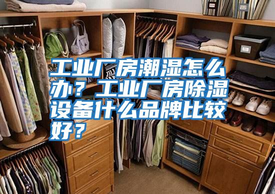 工業(yè)廠房潮濕怎么辦？工業(yè)廠房除濕設(shè)備什么品牌比較好？