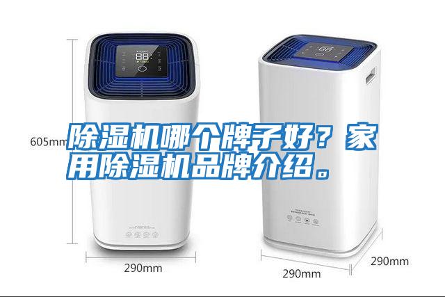 除濕機哪個牌子好？家用除濕機品牌介紹。