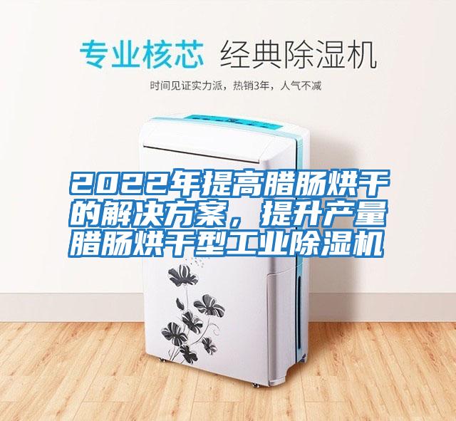 2022年提高臘腸烘干的解決方案，提升產(chǎn)量臘腸烘干型工業(yè)除濕機(jī)