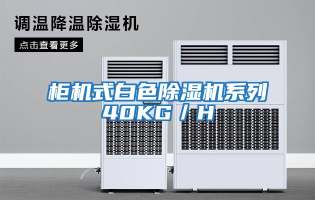 柜機式白色除濕機系列40KG／H