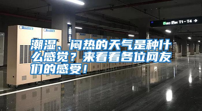 潮濕、悶熱的天氣是種什么感覺(jué)？來(lái)看看各位網(wǎng)友們的感受！