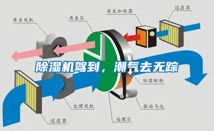 除濕機(jī)駕到，潮氣去無蹤