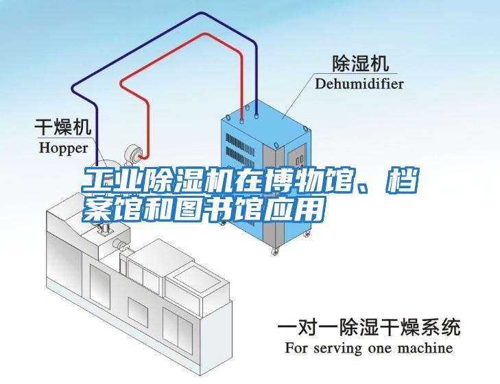 工業(yè)除濕機在博物館、檔案館和圖書館應(yīng)用