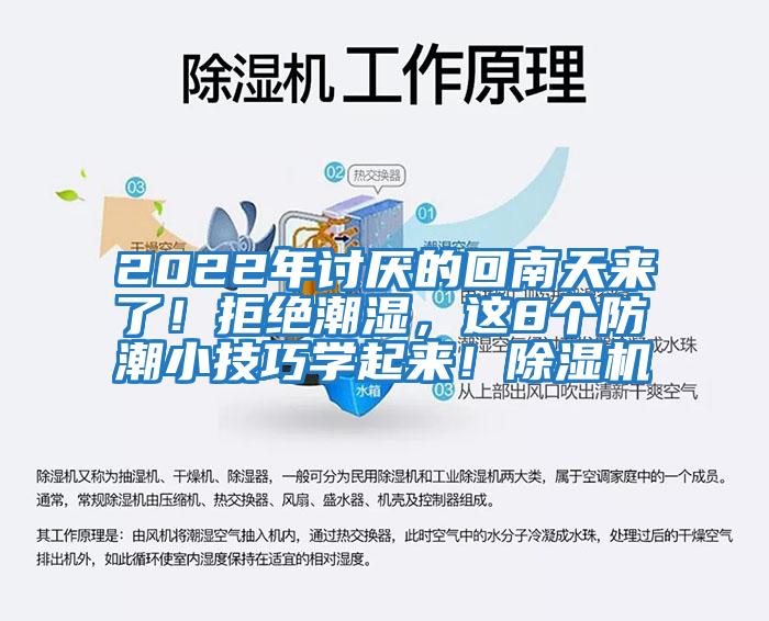 2022年討厭的回南天來了！拒絕潮濕，這8個防潮小技巧學起來！除濕機