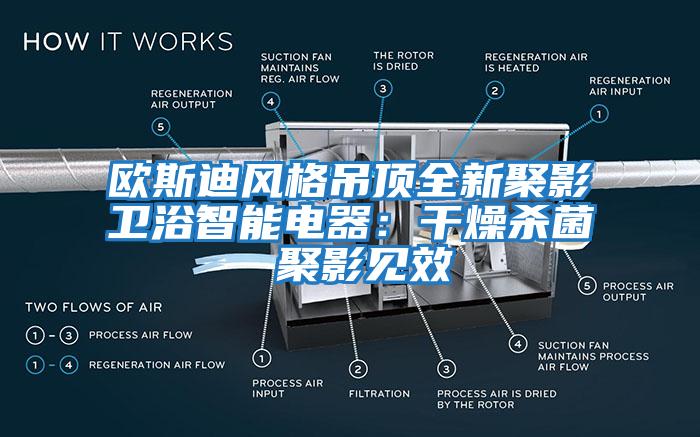 歐斯迪風格吊頂全新聚影衛(wèi)浴智能電器：干燥殺菌 聚影見效