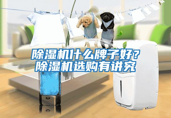 除濕機什么牌子好？除濕機選購有講究