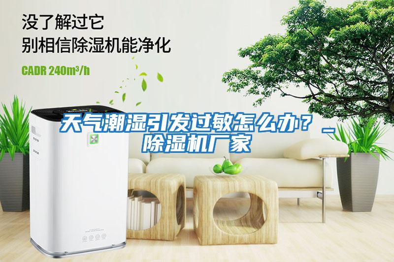 天氣潮濕引發(fā)過敏怎么辦？_除濕機廠家