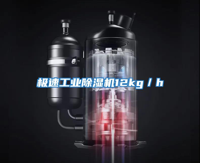 極速工業(yè)除濕機(jī)12kg／h