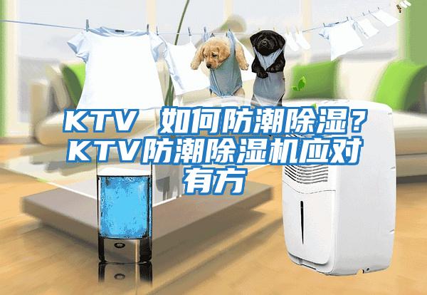 KTV 如何防潮除濕？KTV防潮除濕機應(yīng)對有方