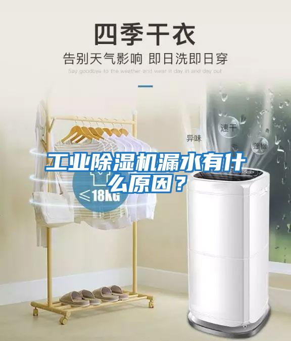 工業(yè)除濕機(jī)漏水有什么原因？