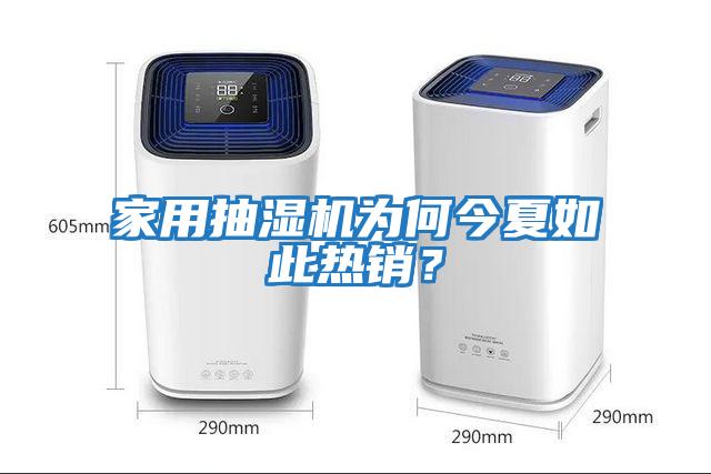 家用抽濕機為何今夏如此熱銷？