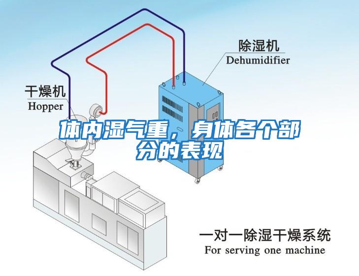 體內(nèi)濕氣重，身體各個(gè)部分的表現(xiàn)