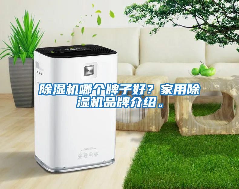 除濕機(jī)哪個牌子好？家用除濕機(jī)品牌介紹。