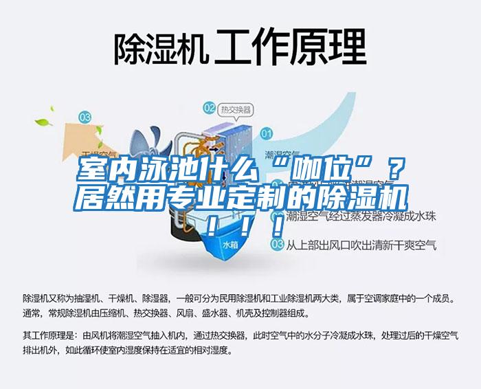 室內泳池什么“咖位”？居然用專業(yè)定制的除濕機?。?！