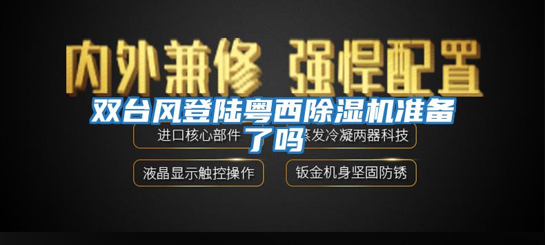 雙臺風登陸粵西除濕機準備了嗎