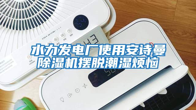 水力發(fā)電廠使用安詩曼除濕機擺脫潮濕煩惱