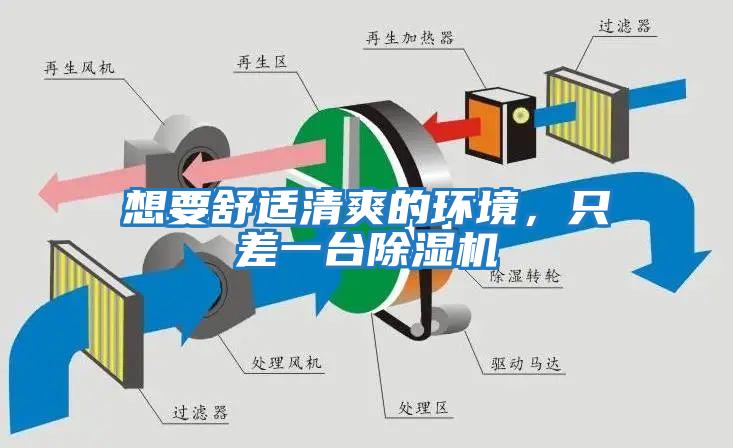 想要舒適清爽的環(huán)境，只差一臺(tái)除濕機(jī)