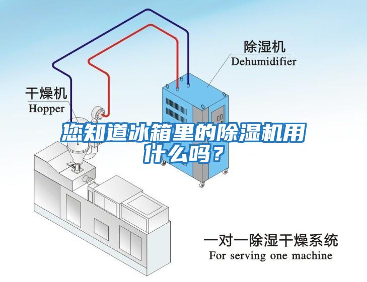 您知道冰箱里的除濕機用什么嗎？