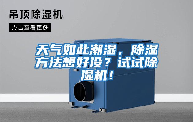 天氣如此潮濕，除濕方法想好沒？試試除濕機！