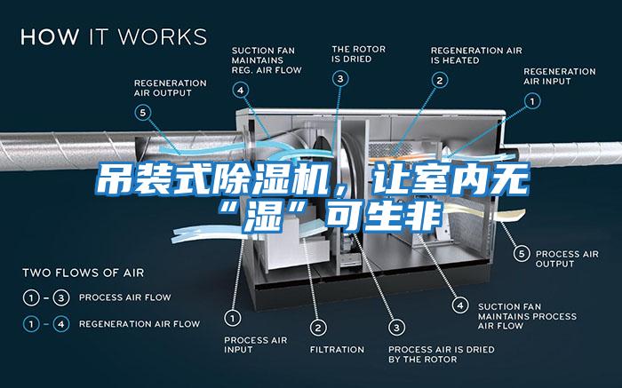 吊裝式除濕機，讓室內(nèi)無“濕”可生非