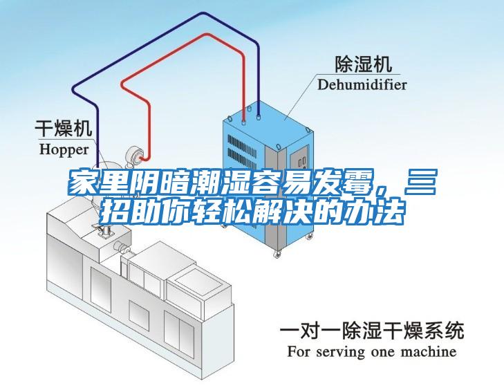 家里陰暗潮濕容易發(fā)霉，三招助你輕松解決的辦法