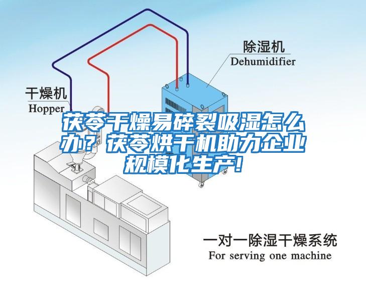 茯苓干燥易碎裂吸濕怎么辦？茯苓烘干機(jī)助力企業(yè)規(guī)?；a(chǎn)!