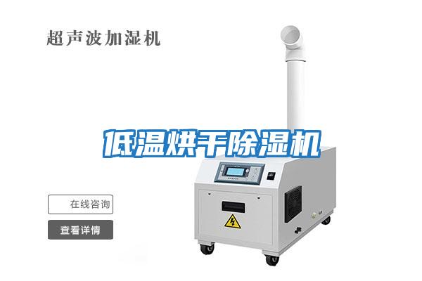 低溫烘干除濕機(jī)