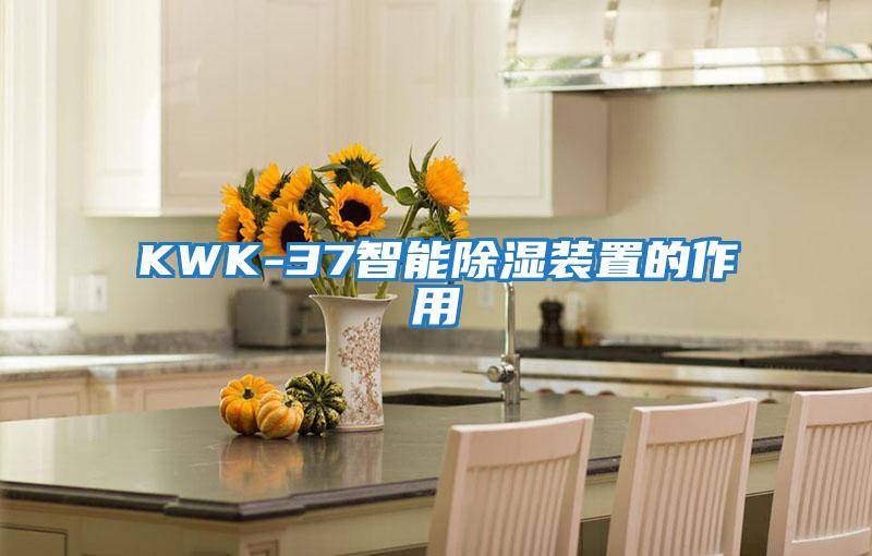 KWK-37智能除濕裝置的作用