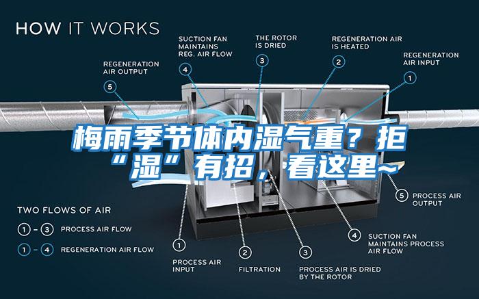 梅雨季節(jié)體內(nèi)濕氣重？拒“濕”有招，看這里~