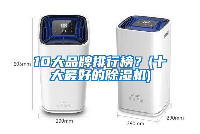 10大品牌排行榜？(十大最好的除濕機(jī))