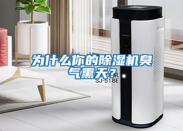 為什么你的除濕機臭氣熏天？