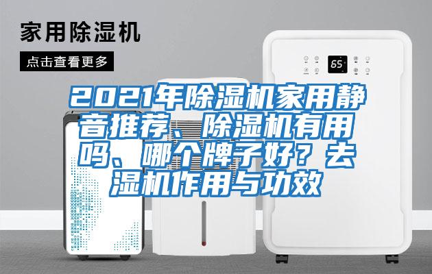 2021年除濕機家用靜音推薦、除濕機有用嗎、哪個牌子好？去濕機作用與功效