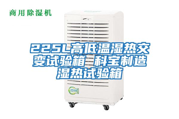 225L高低溫濕熱交變試驗(yàn)箱 科寶制造濕熱試驗(yàn)箱