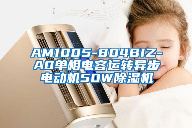 AM1005-804BIZ-A0單相電容運轉(zhuǎn)異步電動機50W除濕機