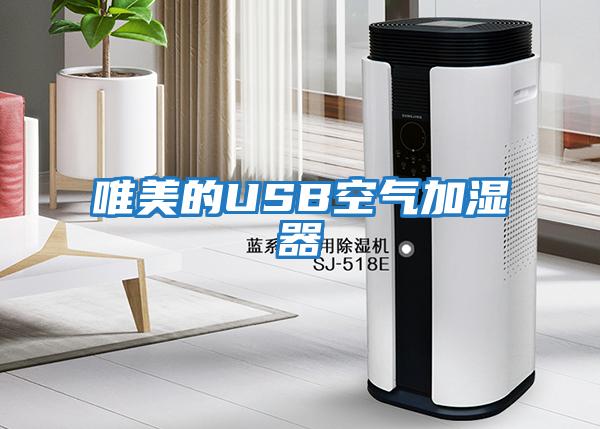 唯美的USB空氣加濕器