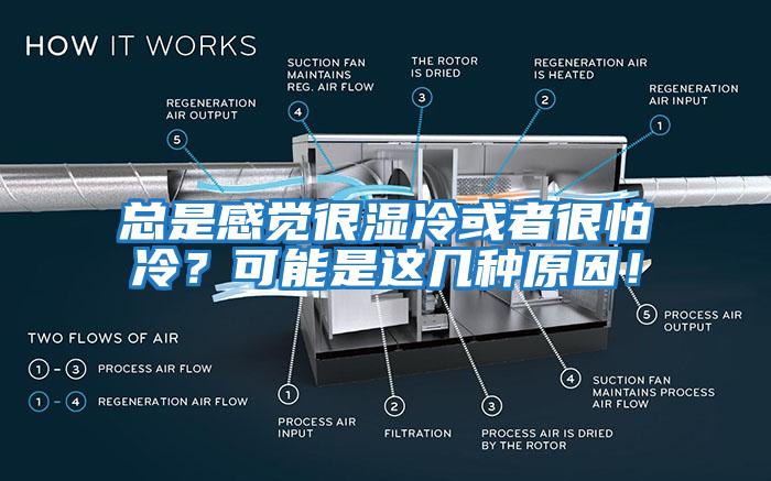 總是感覺(jué)很濕冷或者很怕冷？可能是這幾種原因！