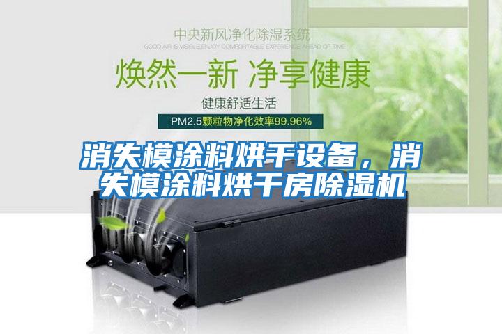 消失模涂料烘干設備，消失模涂料烘干房除濕機