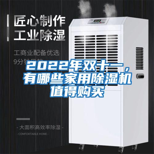 2022年雙十一，有哪些家用除濕機值得購買