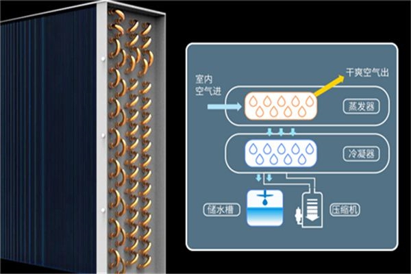 夏季使用家用除濕機(jī)優(yōu)勢