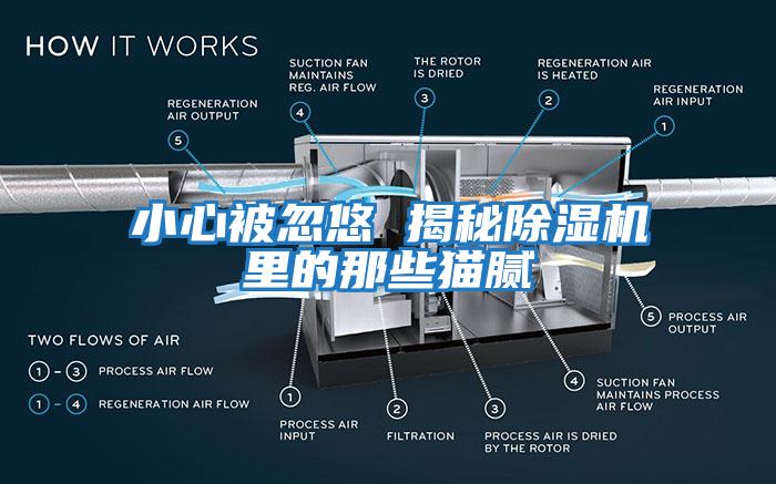 小心被忽悠 揭秘除濕機里的那些貓膩