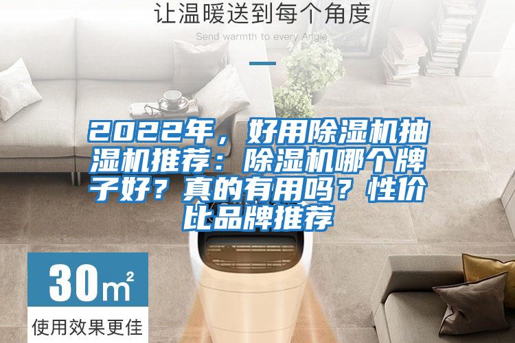 2022年，好用除濕機(jī)抽濕機(jī)推薦：除濕機(jī)哪個(gè)牌子好？真的有用嗎？性價(jià)比品牌推薦