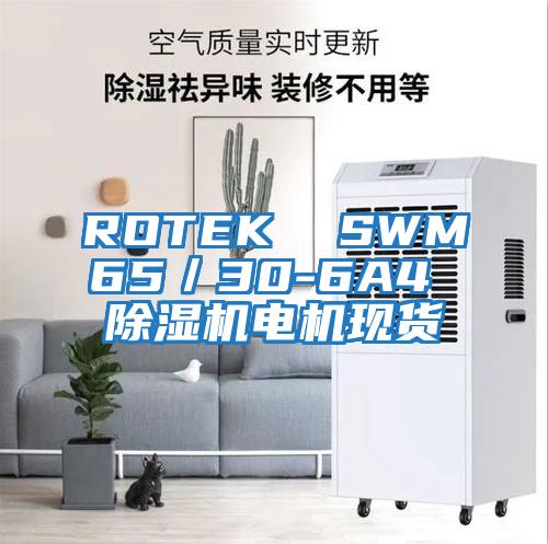 ROTEK  SWM65／30-6A4 除濕機電機現(xiàn)貨