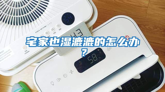 宅家也濕漉漉的怎么辦？